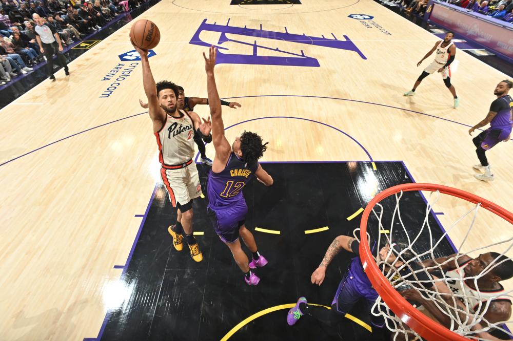 的职业生涯 的职业生涯